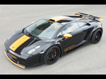 hamann-gallardo-1-tn.jpg